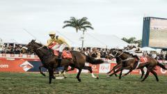 Greyville racecourse